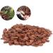 Buy Bark Litter for Reptiles - Natural Wood Granules Substrate for Turtles Lizards & Snakes | Eco-Friendly Breeding Box - Buy Online on GoSupps.com