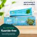 Green Beaver All Natural Organic Toothpaste - Vegan Fluoride Free Gluten Free Frosty Mint 75ml 3 Pack | Buy Internationally - Buy Online on GoSupps.com