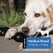 Kong Extreme Goodie Bone for Medium Dogs - Durable Rubber Chew Toy - 1 Pack - Buy Online on GoSupps.com