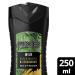 Axe Shower Gel Wild Mojito & Cedarwood - Long-Lasting Freshness & Fragrance (250ml Pack of 5) - Dermatologically Tested - Buy Online on GoSupps.com