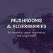 Fungi Perfecti Elderberry Plus Syrup 4 fl oz | Immune Support & Natural Wellness - Buy Online on GoSupps.com