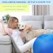 SWYIVY 40 Inch Horse Ball Cover Toy Mega Herding Ball Cover for Giant Horse Soccer 40 Inch 40 Green Cover - Buy Online on GoSupps.com