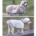 Lazyspace Transparent Pet Rain Coat | Waterproof Jacket for Small to XL Dogs | Lightweight Doggy Rainwear - Buy Online on GoSupps.com