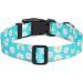 Suredoo Adjustable Dog Collar - Soft & Comfortable Nylon for Small to Medium Dogs | Blue Daisy Design (M: Neck 33-55 cm 2 cm Width) - Buy Online on GoSupps.com