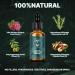 AN BAILIHUA Beard Growth Oil - Rosemary Scent | Stimulate Growth and Soften Facial Hair - Buy Online on GoSupps.com