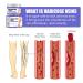 Vein Care Fading Cream 30g - Spider & Varicose Veins Treatment | Improve Leg Appearance & Circulation - 3 Pack - Buy Online on GoSupps.com