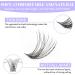 D Curl Cluster Lashes 0.07mm 12-16mm C4+ZW Mixed DIY Lash Extensions | Reusable Soft Wispy Individual Clusters | RR-12-16mm Classic/Mega-0.07D - Buy Online on GoSupps.com