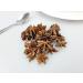 Star Anise 100g - Premium Food Grade Ingredients for Culinary Delights - Buy Online on GoSupps.com