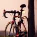 Bike Tail Ball Light - Waterproof Silicone LED Safety Warning Light for Cycling - Red Bicycle Seat Back Signal Lamp - Buy Online on GoSupps.com