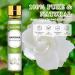 Aoruilia 10ml Gardenia Essential Oil 100% Pure Natural Gardenia Aromatherapy Oils for Diffusers for Home Sleep Relax Spa Massage DIY Soap Candle Making Gardenia 10 ml (Pack of 1) - Buy Online on GoSupps.com