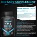 Fit & Focused 1000mg HMB Supplement | 120 Capsules for Muscle Recovery & Protein Synthesis | Ideal for Weightlifters Fitness Enthusiasts & Health Optimizers - Buy Online on GoSupps.com