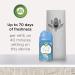 Air Wick Pure Freshmatic Lavender & Chamomile Refills - 5.89 oz, Pack of 2 - Buy Online on GoSupps.com