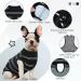 Kuoser Dog Recovery Suit | Post-Op Body for Male & Female Dogs | Breathable Anti-Wound Suit & E-Collar Alternative - Buy Online on GoSupps.com