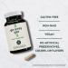 Stem & Root Go Away Gas Supplement | Vegan & Gluten-Free Probiotics Digestive Enzymes & Ginger | Relieves Occasional Gas | 30 Capsules - Buy Online on GoSupps.com