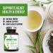 Green Tea Extract 98% Standardized EGCG - 3X Strength for Natural Energy & Heart Support - 240 Capsules - Buy Online on GoSupps.com