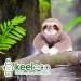 Deluxe Paws Plush Sloth Eco Toy | Soft & Cuddly | 100% Recycled Materials - Buy Online on GoSupps.com