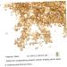BIUDECO 1 Glass Chip Nail Art Accessories DIY Glass Fillers Nail Glass Epoxy Fillers DIY Nail Art Crushed Glass Manicure DIY Accessories Manicure Fillers Manicure Charm 0.5X0.3cm Golden - Buy Online on GoSupps.com