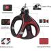 LOOK ANDES CARE CARRAME: Adjustable Reflective Cat Harness & Leash Set with Breakable Dishes for Cats and Puppies (Chest: 30-35cm) - Black - Buy Online on GoSupps.com