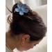 Bolonar Flower Claw Clips - 6Pcs Strong Hold Hair Clips for Women and Girls | Hawaiian Party Favor - Buy Online on GoSupps.com