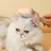 Self-Cleaning Cat Brush with Unlocking Button - Compact Pet Hair Removal Tool for Dogs Cats & Rabbits - Yellow Fur Care Brush - Buy Online on GoSupps.com