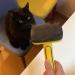 AIITLE Self Cleaning Slicker Brush for Small Medium Dogs & Cats - Removes Loose Hair, Tangles & Knots - with Massage Particles - Yellow M - Buy Online on GoSupps.com