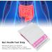 Gut Health Test Strips 50pcs Helicobacter Pylori Test Card for Home Use - Buy Online on GoSupps.com