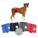 Financial trousers for bitches 2.0 - dog diapers made of high -quality perforated neoprene for an optimal air exchange - dog diapers for male without the annoying threading of the rod (L -L red) red L -L