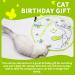 All For Paws 2 in 1 Automatic Cat Toys - Hide & Seek Flutter Bug Spinner for Indoor Cats - Buy Online on GoSupps.com