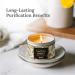 Magnificent 101 Ginger Scented Candle | 6 Oz Soy Wax | 35 Hour Burn for Energy Cleansing & Manifestation | Boost Passion & Prosperity - Buy Online on GoSupps.com