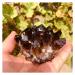 Bulk Rough Natural Black Smoky Quartz Crystal Cluster for Reiki Rock Crafts 250G-650G Crystal Cluster (Color : 450G-550G)