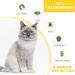 2 Pack Natural Collar for Cats | 8 Months Protection | Adjustable, Waterproof, & Includes Comb | One Size Fits All - Buy Online on GoSupps.com