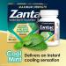 Zantac 360 Maximum Strength Cool Mint - Heartburn Prevention & Relief (25 Count 20mg Tablets) | Buy Internationally - Buy Online on GoSupps.com