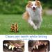 Amzeeniu 16 Pcs Dog Toys Set - Durable Rope Balls & Chew Toys for Small/Medium Dogs | Interactive Training & Teeth Cleaning - Buy Online on GoSupps.com