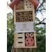Buddy Wild Insect Bee House - Eco-Friendly Bug Hotel for Bees, Butterflies & Insects - Kid Friendly & Weather Resistant - Natural Wood - 13x8.5x26cm - Buy Online on GoSupps.com