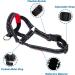 Lepark Reflective Dog Halter & Seat Belt - Prevents Pulling for Small Medium & Large Dogs - Size M Red - Buy Online on GoSupps.com