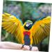 minkissy flying bird diapers cockatiel diaper cockatiel nappy bird clothes DiapeR macaw diaper parrot nappy conure diaper pet diapers parakeet diaper small conical protector cotton 14x7cm As Shown 4 - Buy Online on GoSupps.com