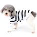Zweitea Dog Shirts for Small Dogs | Summer Striped T-Shirts & Heart Sweatshirts | Soft Cotton Chihuahua Clothing XS - Buy Online on GoSupps.com