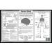 Human Body Educational Placemat for Kids - Washable & Double-Sided - Made in USA - Buy Online on GoSupps.com