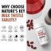 Nature's Key Milk Thistle 500mg Liver Supplement - 30:1 Extra Strength - 80% Silymarin - 5-in-1 Liver Cleanse Detox & Repair Formula - 60 Tablets - Buy Online on GoSupps.com