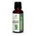 Mugwort Oil (Artemisia Vulgaris) Essential Oil 100% Pure Natural Undiluted Uncut Therapeutic Grade Oil 1.01 Fl.OZ