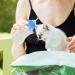 Breeding Bottle for Puppies & Kittens - 60ml & 150ml Pet Milk Bottle Set with Silicone Baby Bottle & Replacement Nipples - Ideal Feeding Tool for Dogs & Cats (Large Green) - Buy Online on GoSupps.com