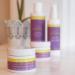 DERMAdoctor Lucky Bamboo Probiotic Wasabi Serum | 1.69 Fl Oz | Shop Internationally - Buy Online on GoSupps.com