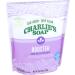 Charlie's Soap Booster & Hard Water Treatment (2.64 Lbs 2 Pack) - Natural Laundry Softener & Booster - Buy Online on GoSupps.com