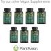 PlantFusion Vegan Black Elderberry 1150 mg | 60 Vegan Capsules for Immunity Support - Buy Online on GoSupps.com