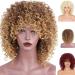Uonlytech Women s Brown & Blond Mixed Short Curls Wig - African American Synthetic Hair Crimped Wave Cap - Buy Online on GoSupps.com