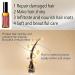 EXQST Avocado & Peppermint Hair Food Oil Avocado & Peppermint Oil for Dry Frizzy Brittle Hair & Hair Loss - Buy Online on GoSupps.com