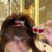Red Rhinestone Hair Clip - Metal Rose Barrette Ponytail Clip for Girls | Non-slip Hair Claw with Tassel Detail - Decorative Hairpin Accessory (1Pcs) - Buy Online on GoSupps.com