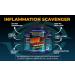 Biotest Flameout Inflammation Scavenger - 5500mg Omega-3 Fish Oil Supplement - Pharmaceutical Grade DHA & EPA - Promotes Brain & Heart Health - 90 Softgels - Buy Online on GoSupps.com