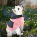 Waterproof dog coat winter warm jacket dog puppy sweater boy for little with bag-warm dog medium hoodie autumn clothing winter fleece pet clothing dogs (1107debkb-pink XXL) XXL 1107debkb-Rosa