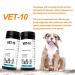 100 Urine Analysis Test Strips - 10 Parameter Test for Leukocytes Nitrite Protein pH & More - Quick & Accurate Home Testing - Buy Online on GoSupps.com